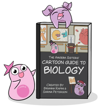 Book: Amoeba Sisters’ Cartoon Guide to Biology